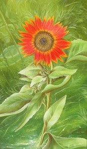 Le tournesol ( 24X41)   